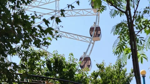 White Ferris wheel rises through tree canopy on bright day Stock Footage 341773725