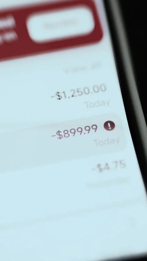 White Finance Application Displaying Balance And Expense Activity 4K Stock Footage 341854625