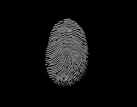 White fingerprint pattern on black background, unique identity concept, sec.. Stock Illustration