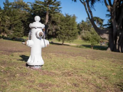 White fire hydrant in a park Stock Photos