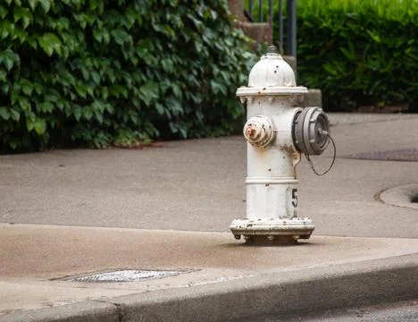 A white fire hydrant in the suburbs Stock Photos