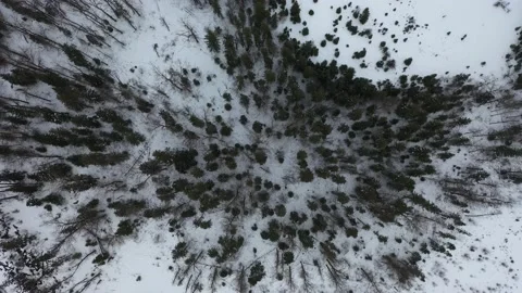 White Fish Montana 動画素材 150718178