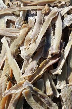 White fish Stock Photos