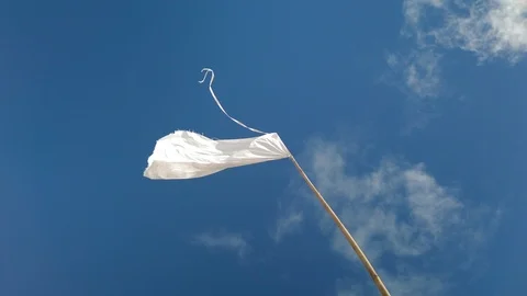 White flag blowing in the wind Stock-Footage 113544534