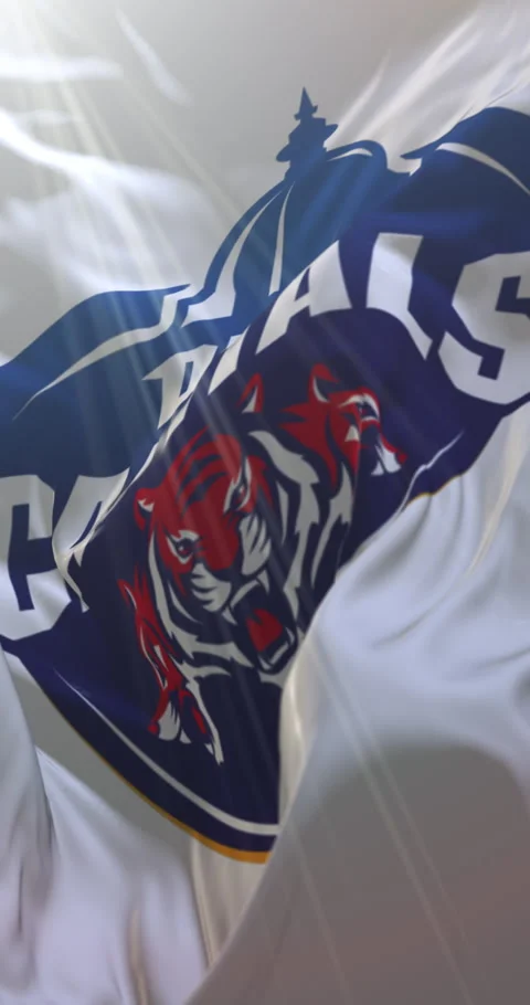 White flag of indian cricket team Delhi Capitals. 4K Vertical. Loop. 11/04/2025 動画素材 306831732
