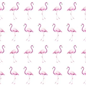 White Flamingo Pattern Background Stock Illustration