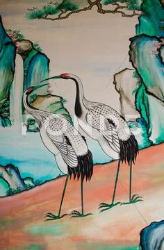 A white flamingo Stock Photos