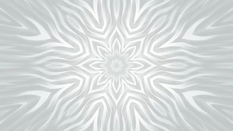White Floral Abstract Background Stock Footage 152741043