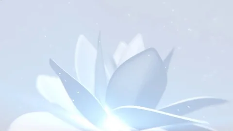 White Flower Background Stock Footage 77557510