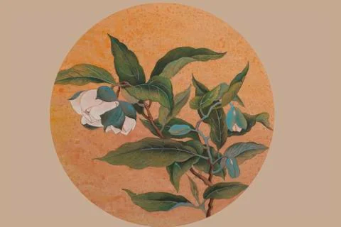 White flower in circle Stock Illustration