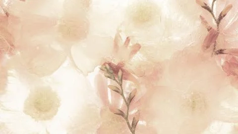 White flower desktop wallpaper, beige anemone floral Stock Illustration