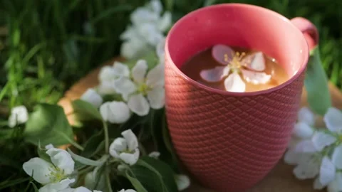 White flower falls into a cup of coffee. a cup of tea outdoors in which flowers Stock-Footage 148794701