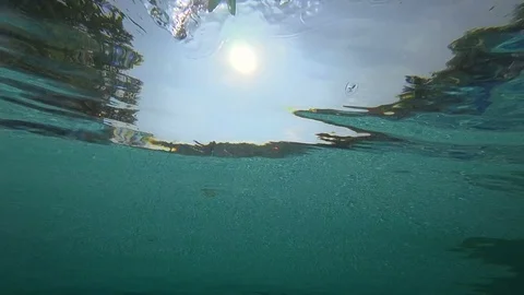 White Flower Floating up to water surface Stock Footage 74107062