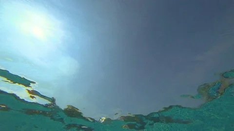 White Flower Floating up to water surface Stock Footage 74108331