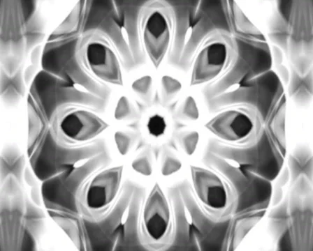 White Flower 库存影片 104232