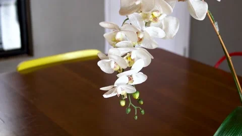 White flower Vídeos de archivo 201182709