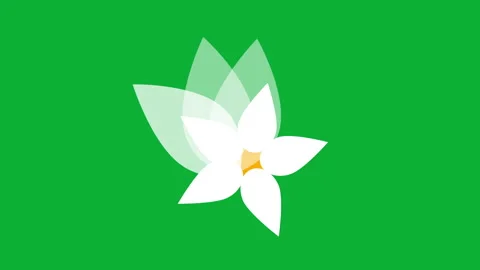 White flower Stock Footage 267085308