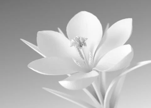 White Flower On Gradient Background Stock Illustration
