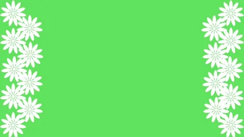 White flower green screen Stock Footage 300527051