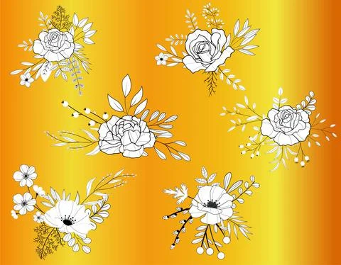 White flower hand drawn vector Stock Illustration