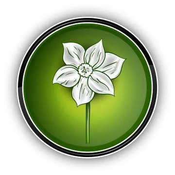 White flower Illustrazione stock