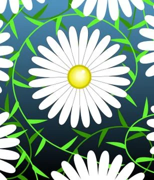 White flower Stock Illustration