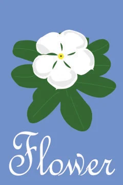 White Flower Stockillustratie