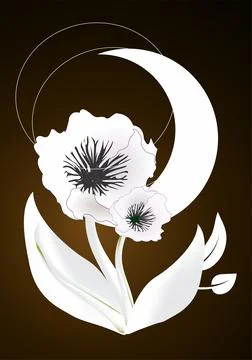 White flower, Illustration