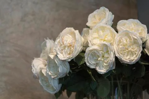 White flower on the interior wall Stock Photos