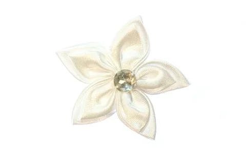 White flower. Stock Photos