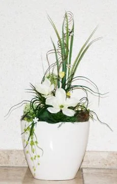 White flower Stock Photos