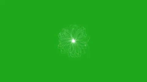 White flower shape with center light on green screen background Stock Footage 293763447