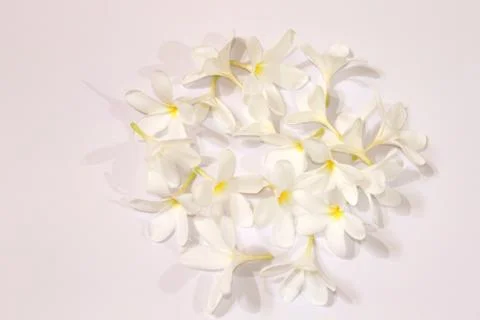 White flower spring background Stock Photos