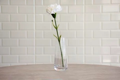 White flower on table with white wall background of coffee shop and restauran Fotos de archivo