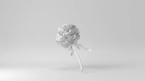 White flower with white background. 3d render, 3d illustration. Stock Footage 168721520