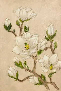 White flowering almonds Stock Illustration