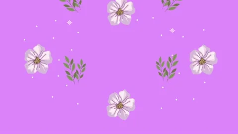 White flowers and leafs pattern in background Video stock 155866025
