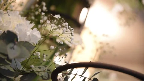 White flowers and lights in the background 库存影片 152303860