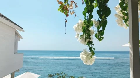 White flowers on the background of the ocean Stock Footage 261044964