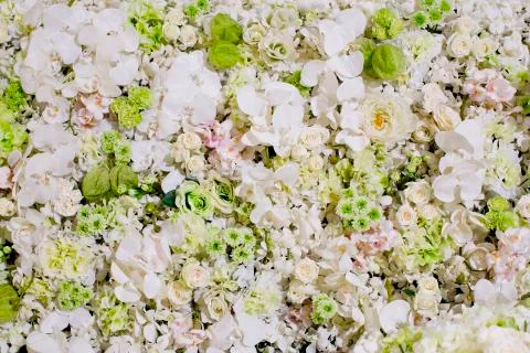 White flowers background texture. Stock Photos
