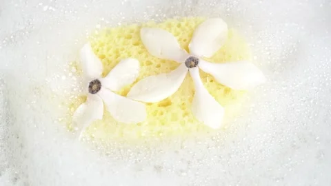 White flowers on bath sponge in soap suds. Shower sponge with soap suds and.. Stock Footage 271233606