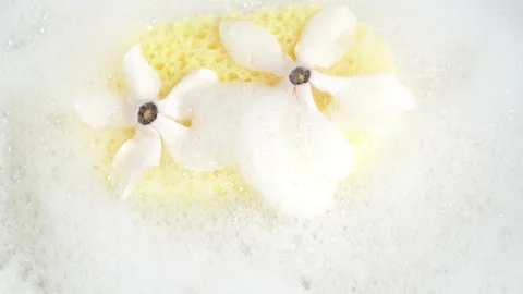 White flowers on bath sponge in soap suds. Shower sponge with soap suds and.. Stock Footage 272589518