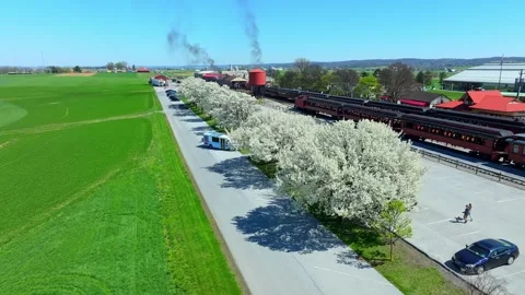White flowers bloom on trees along a parking lot, near a railroad station. This Stock-Footage 336110404