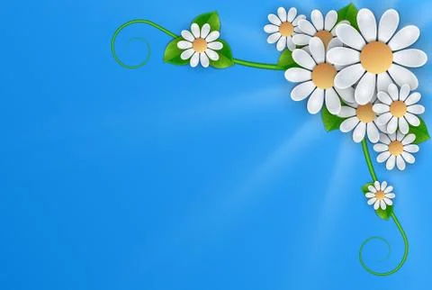 White flowers on blue background Stock-Illustration