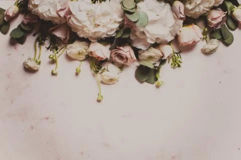 White flowers border Stock Photos