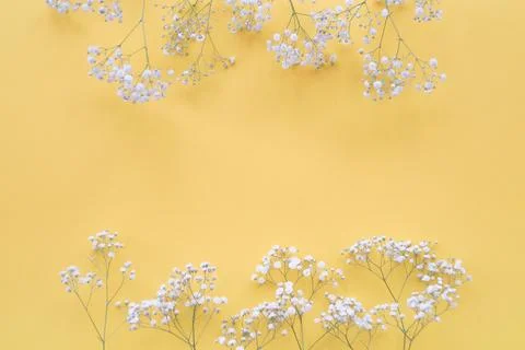 White flowers border yellow backdrop Stock Photos