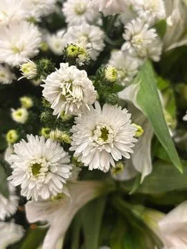 White Flowers in a Bouquet Stock Photos