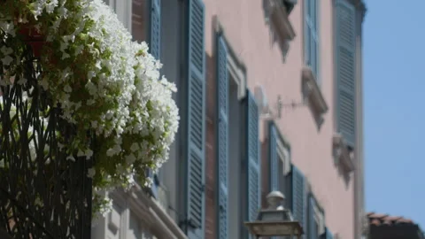 White flowers building facade background handheld static shot Vídeos de archivo 343375616