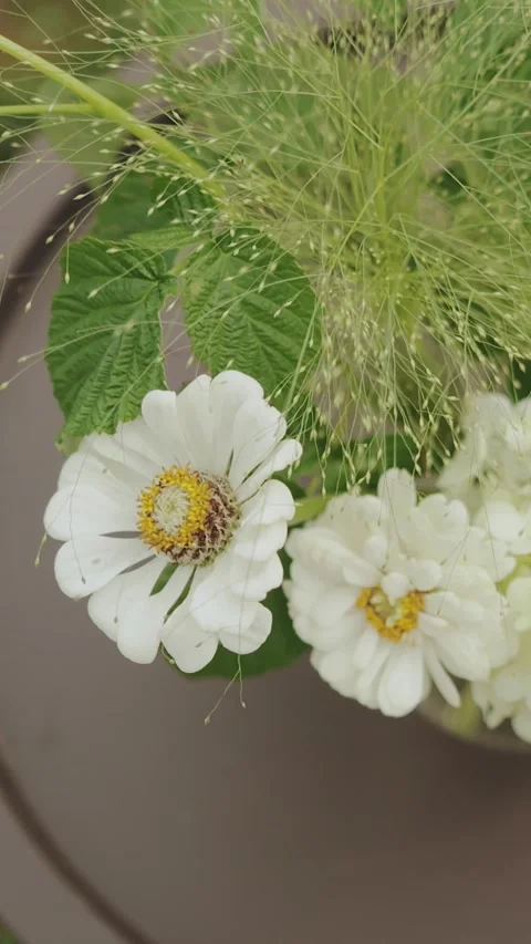 White flowers in a chic modern vase is elegantly placed on a table. Wedding Stock Footage 306583360