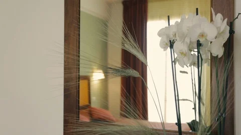 White flowers close up Stock Footage 86736757